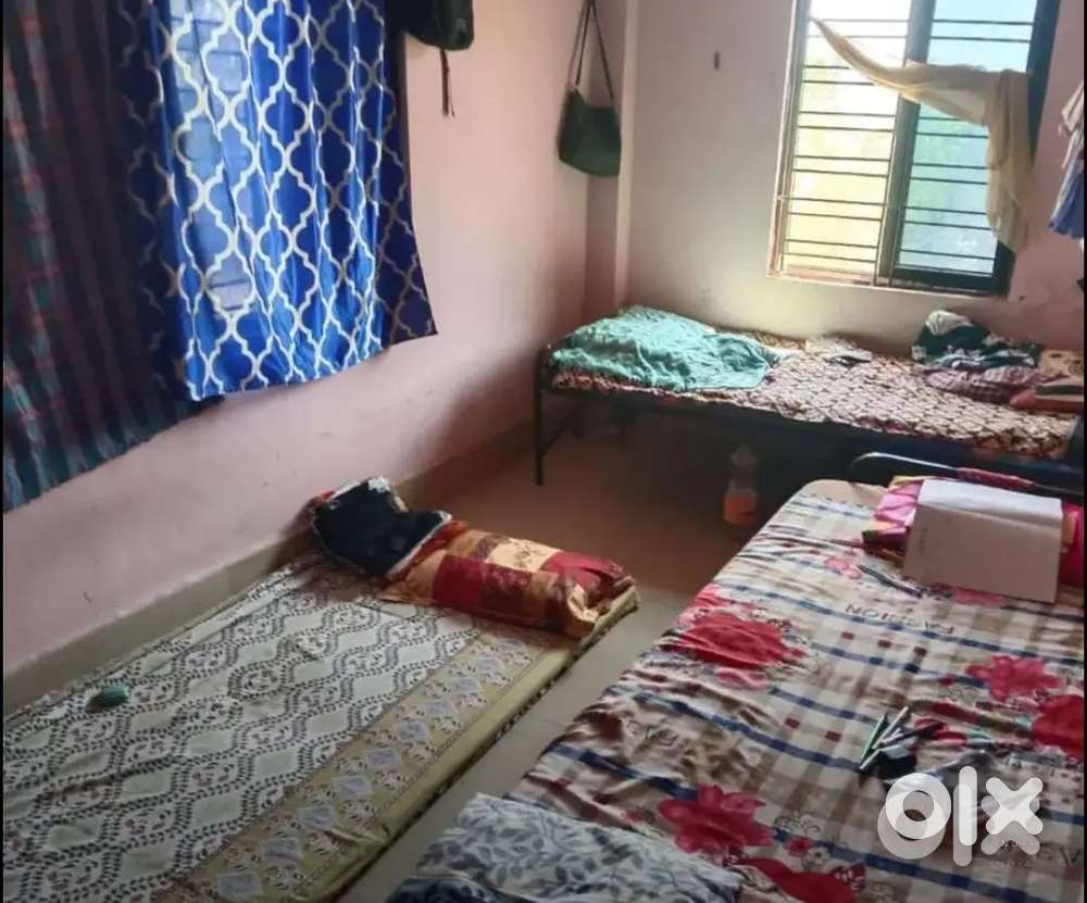 Room for bachelor female