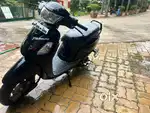 Brand new look full modified new spear part’s