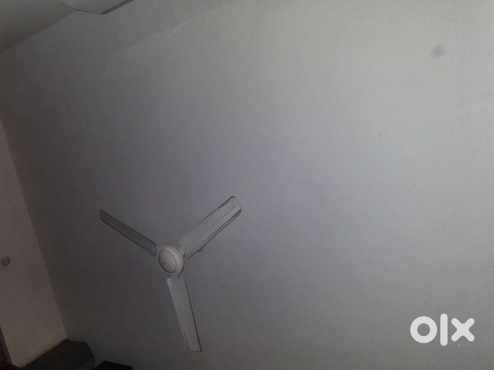 1 Bhk flat for sale in Indira Nagar