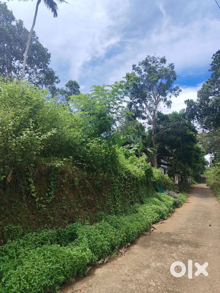 വെള്ളപ്പാറ ഞക്കുകാവ് Near catholica church