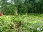 5 cent Plot Palakkal Trissur