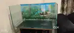 I want to sell Aquarium