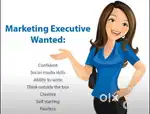 Marketing & Sales Executives
