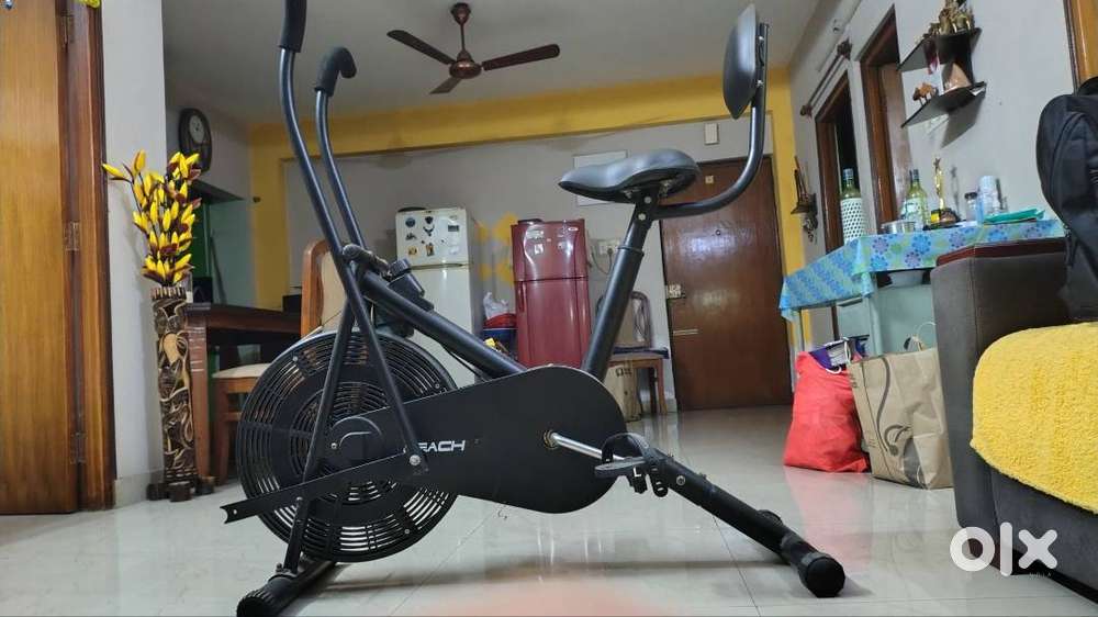 Gymnasium cycle