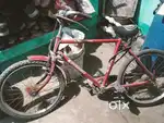 Avon cycle