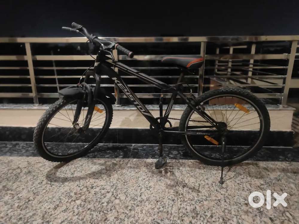 Age 1 year, perfect condition