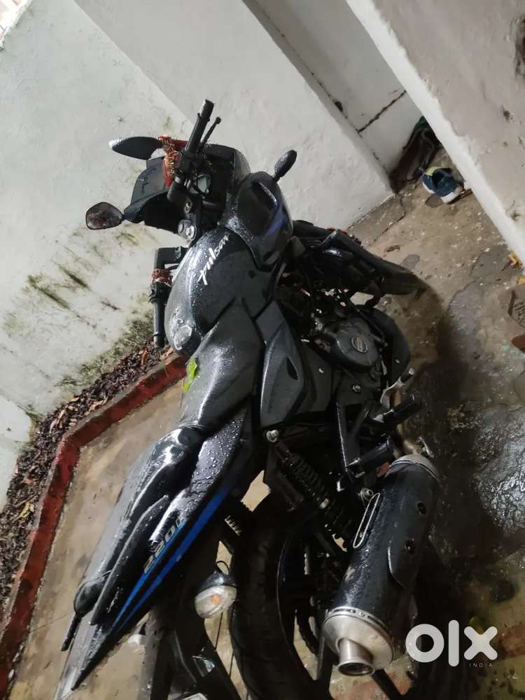 Pulsar bike
