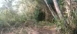 98 Cent Farm land - 25 lakhs