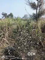 Property selling