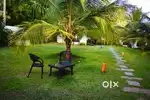 Resort for Sale!  - 5.05 acres of Areca Plantation
