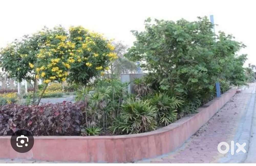 Corner plot for sale in nipania