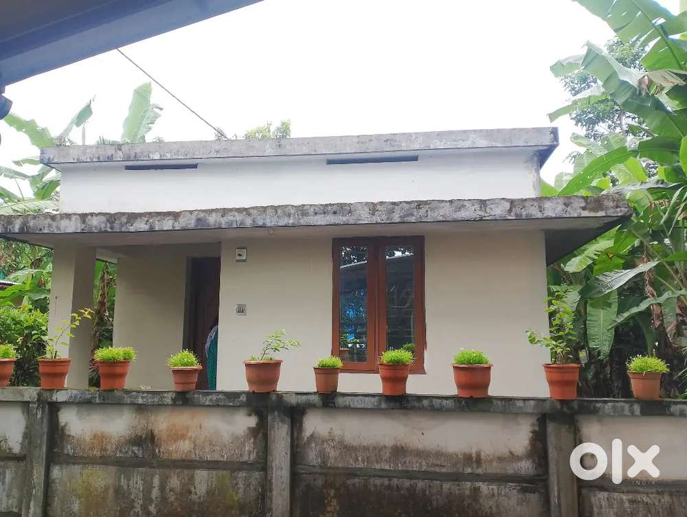 Good plot & 5 minutes walking distance in main road