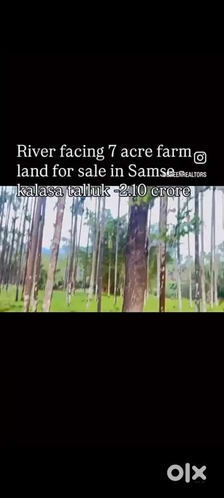 Beautiful riverside plantation property with excellent road access