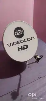 Free dish videacon