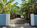 10.52 cents land with old house for sale in Vaduthala. Near Main road