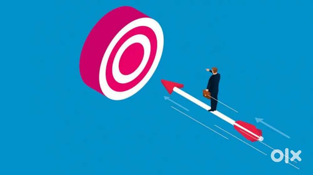 Experienced Field Sales Representative