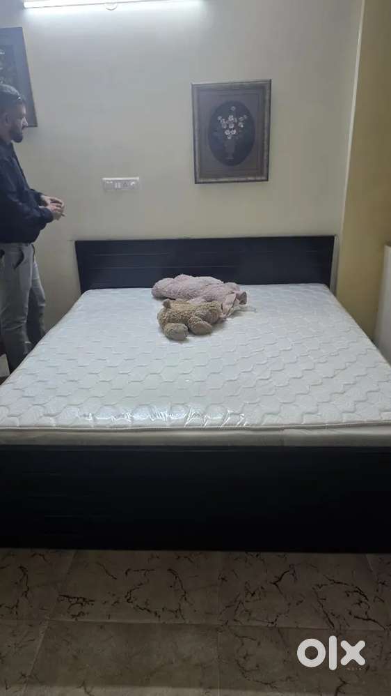 Double cot Beds & Mattress king size