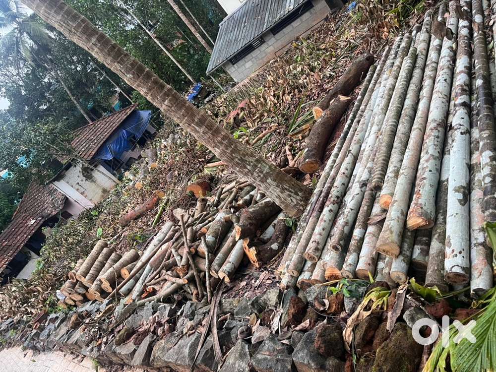 400mtr from town Thamarashery