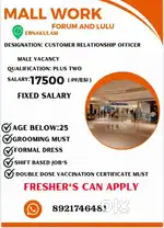 MALL WORK PVR GROUP