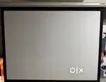 Braun Projector Screen motorized