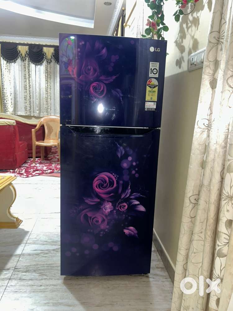 LG Double Door 242 L Refrigerator Blue Euphoria