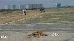 3000rs गज प्लाट ग्रेटर नॉएडा में मेट्रो 2km की दुरी पर