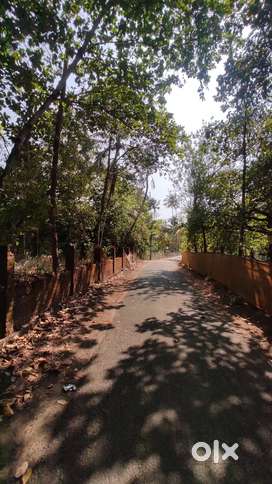 46.25 cents clean land for sale in Muriyamthod, Valappad