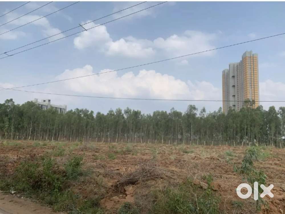 Immediate sale 0f a Property.