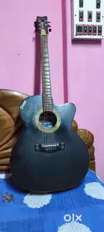1year old gitter