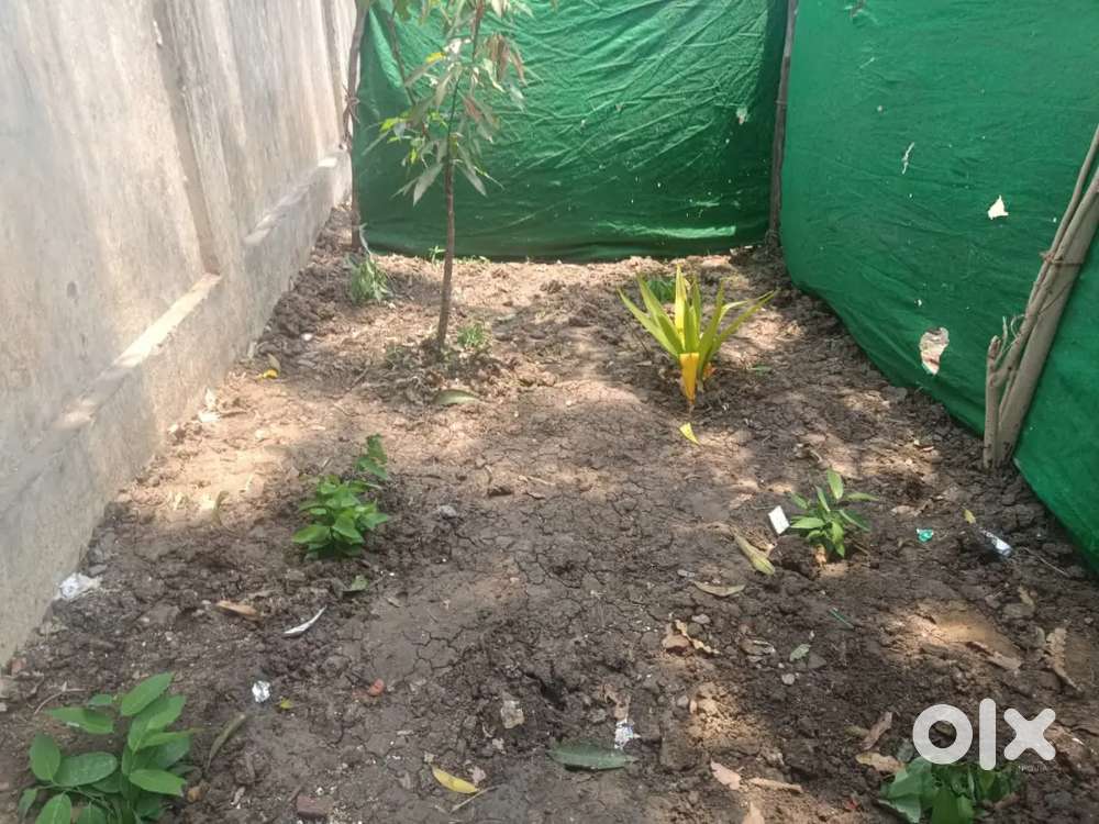 Independent house in bank colony bhimavaram