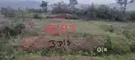 2,10,000 Per dismil  Ghutwa 2 Number Gate Se 1.5km Andar Masmohna Road