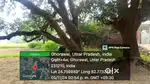 Residential Plat for sale 2 biswa in Ghorawal, Robertsganj