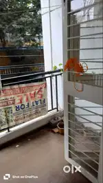 Need flatmate in dighi