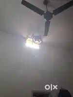 बाइक का मिस्त्री चाहिए