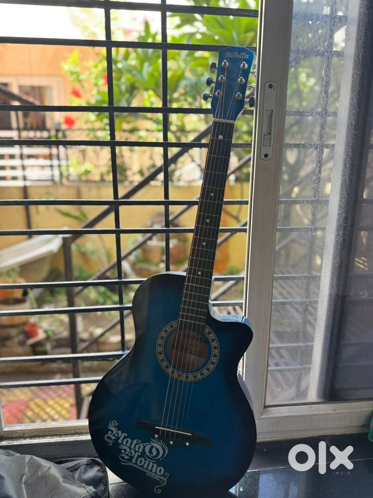 Guitar With Cover