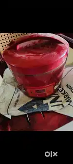 Electronic rice cooker