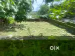 Plot for sale in Mulanthuruthy
