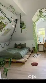 Guest house for daily rent