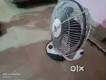 8-9 month old high speed fan