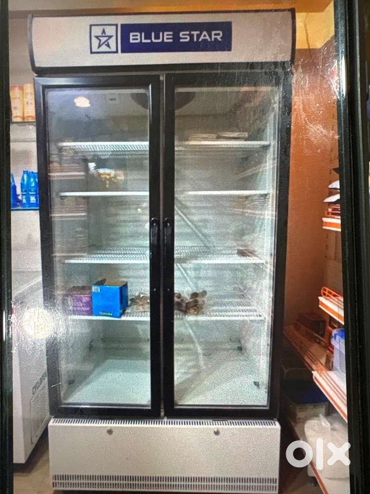 Commercial Use Big Friz 1000 Ltr