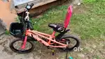 AVON CYCLE
