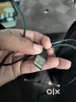 Terabyte mouse