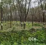 Muvattupuzha 62 acre plot for sale