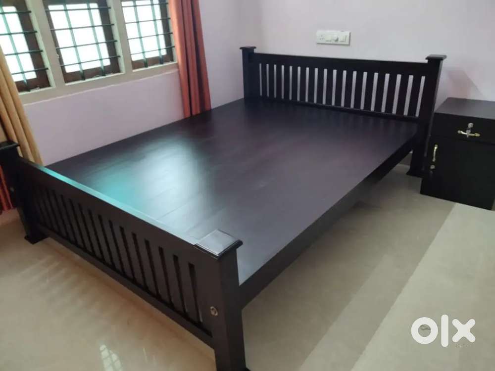 Double coat kattil new model