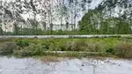 Plot sale in pechanda road