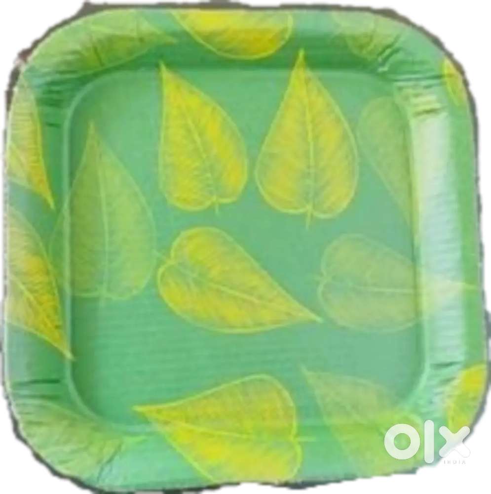 Paper plate mechian buffet plates