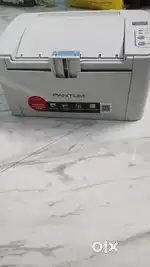 Printer (PANTUM)