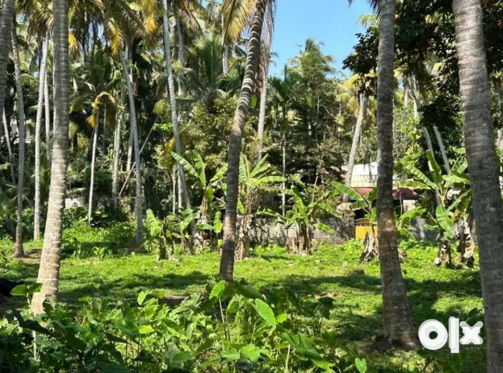 Dry Land for sale at kovalam nearest beach