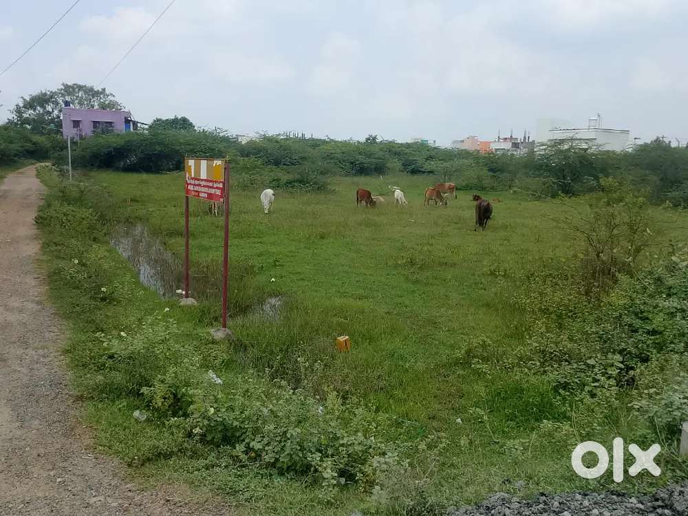 CMDA Approved plot for sale in Thirunindravur Sri Ram Nagar