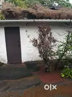 Single box room toilet outside